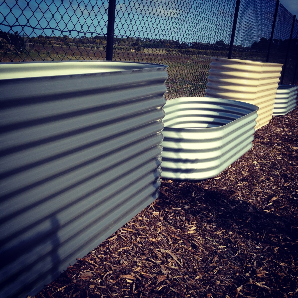galvanised tin garden beds