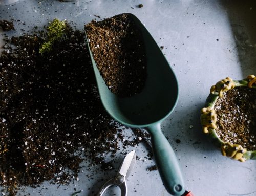 Tips for Using Local Organic Compost